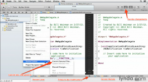 XCODE-GIT VUE DES CHANGEMENTS REMOTE : LOCAL